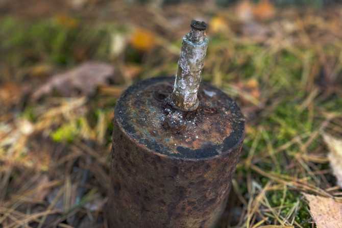 Небезпечна знахідка під час грибного полювання: у Бучанському районі місцевий мешканець виявив протипіхотну осколкову міну (ФОТО)