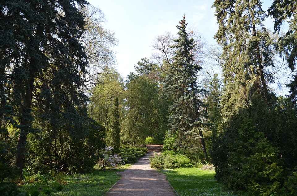 Сирецький дендрологічний парк
