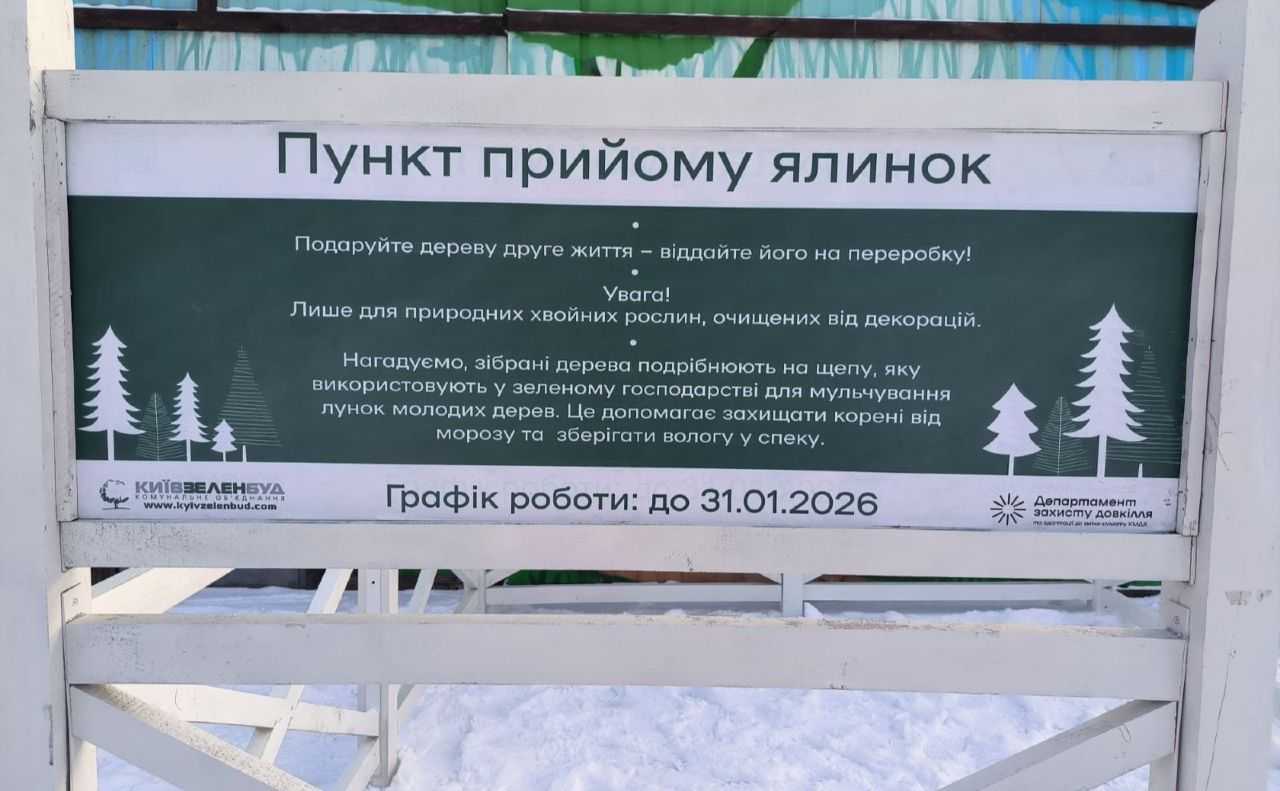 Київ приймає свято: пункти збору новорічних ялинок відкрито в столиці