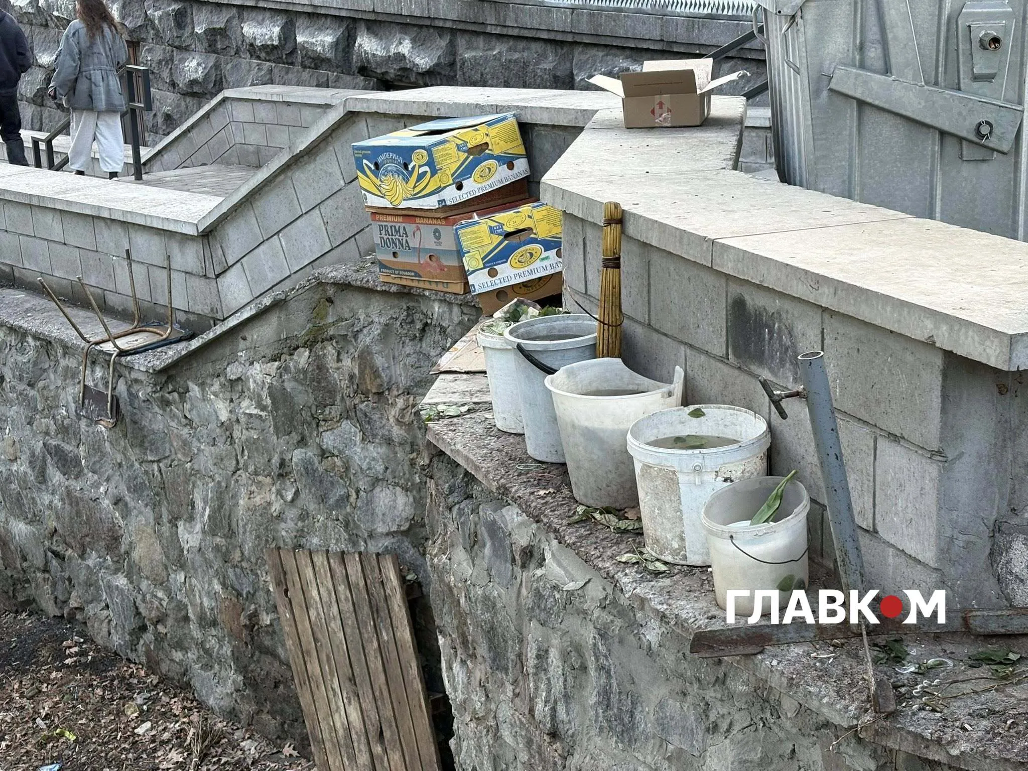 Ботсад Фоміна кипить: сміття та омела душать зелень у серці Києва