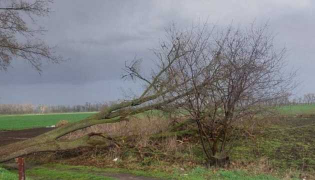 Київщина у пітьмі: Негода залишила поза світлом 80 тисяч осель