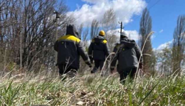 Київська область: Вітер-ураган повалив дерева, залишивши без світла 30 ліній електропередачі.
