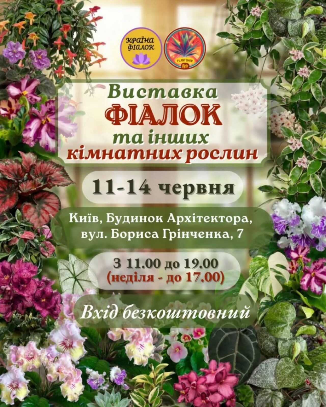 Виставка фіалок та інших кімнатних рослин
                            Феєрія Цвітіння: Виставка Фіалок та Зелених Чудес

Чарівний Сад: Фіалки та Екзотичні Кімнатні Рослини

Оазис Краси: Фіалки та Зелені Перлини Дому

Зелений Світ: Феєрія Фіалок та Рослин для Натхнення

Домашній Рай: Виставка Фіалок та Зелених Друзів

Квіткова Симфонія: Фіалки та Ізобільність Кімнатних Рослин

Перлини Фіалок та Домівки: Експозиція Зеленої Краси