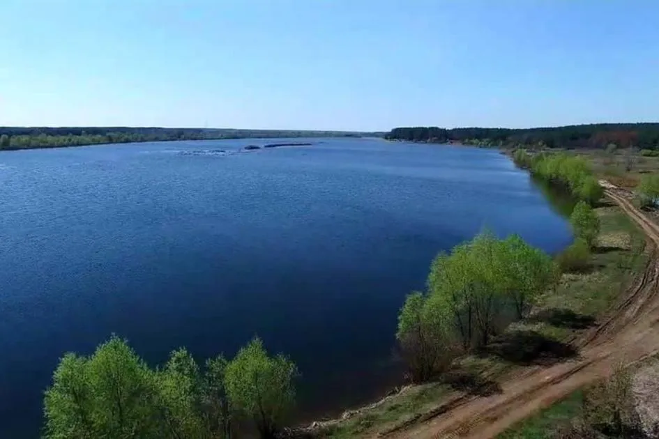 На Київщині б'ють на сполох: масовий мор риби загрожує екосистемі