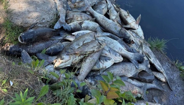 На Київщині обмежили доступ до трьох водойм, де зафіксували масовий мор рибиНа Київщині мор риби: три водойми під забороною.
