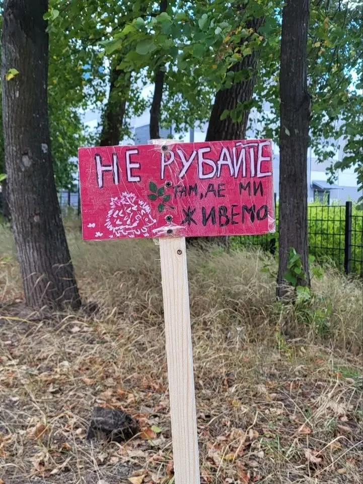 Київтеплоенерго: чи не було вирубки дерев на Теремках