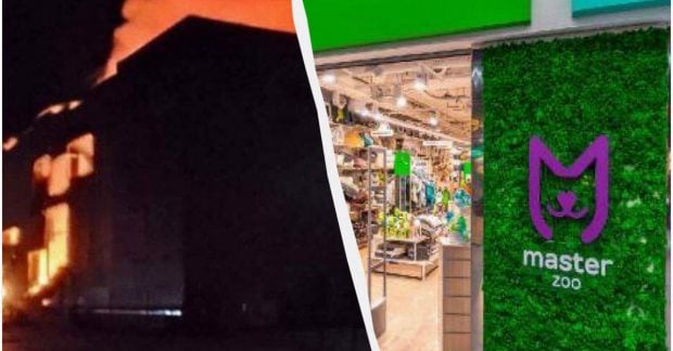 Російська атака знищила зоомагазин на Київщині: тисячі тварин залишилися без дому та кормів.